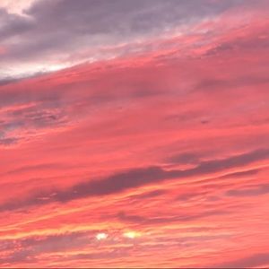 Meet your Posher, Warner